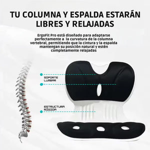 ERGOFIT: Haz que cualquier silla sea ergonómica
